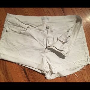 ANN TAYLOR LOFT SHORTS